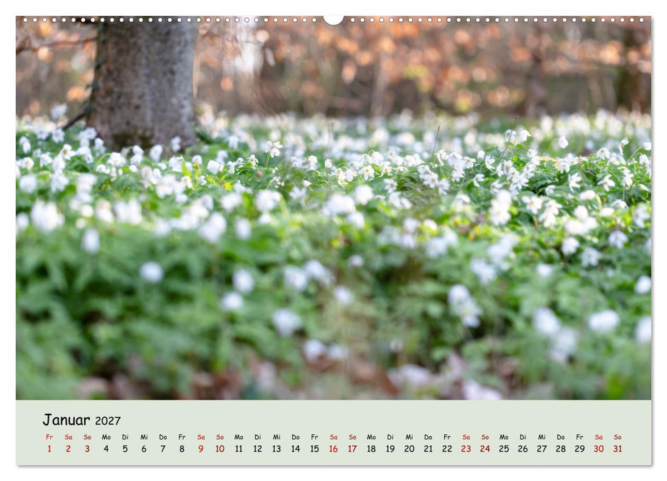 Waldbaden - Durch Achtsamkeit zu einer besseren Gesundheit (CALVENDO Premium Wandkalender 2027)