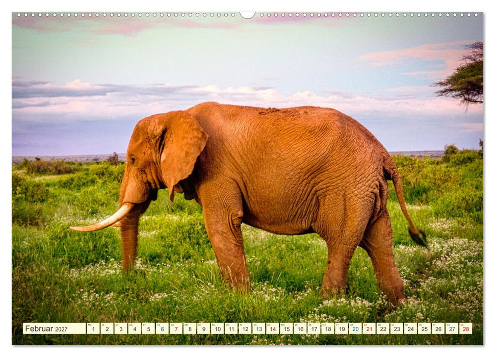Die Riesen der Savanne (CALVENDO Premium Wandkalender 2027)