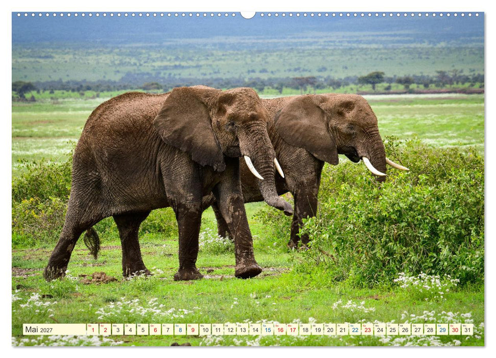 Die Riesen der Savanne (CALVENDO Premium Wandkalender 2027)