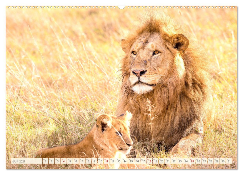 Afrikas Tiere. Majestäten in exotischer Wildnis (CALVENDO Premium Wandkalender 2027)