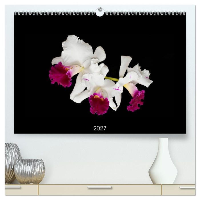 Leuchtende Cattleyen (CALVENDO Premium Wandkalender 2027)