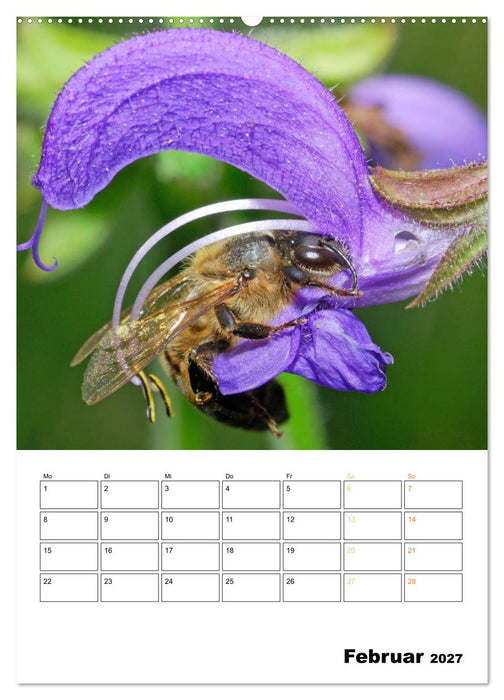 Der Imker: Mit Bienen auf Sammeltour (CALVENDO Wandkalender 2027)