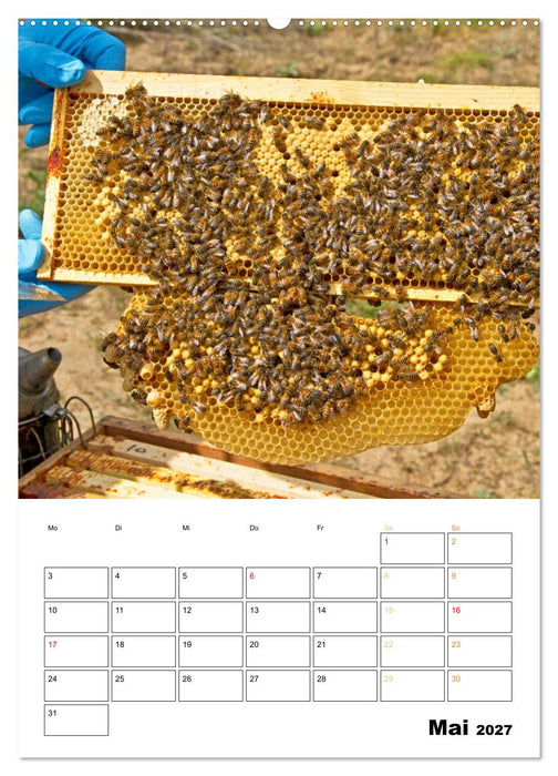 Der Imker: Mit Bienen auf Sammeltour (CALVENDO Wandkalender 2027)