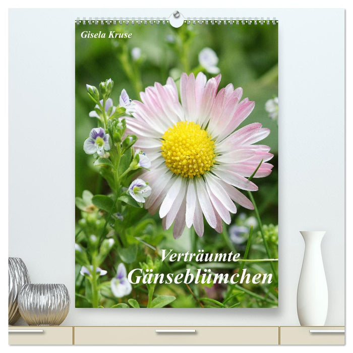 Verträumte Gänseblümchen (CALVENDO Premium Wandkalender 2027)