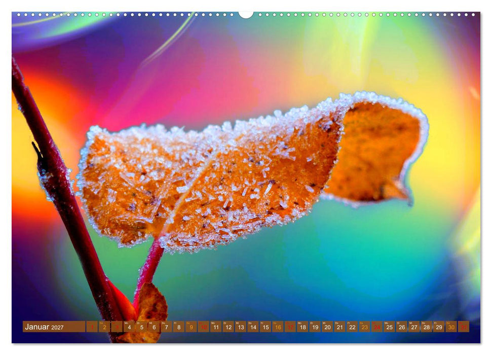 Grandiose Farbenspiele (CALVENDO Premium Wandkalender 2027)
