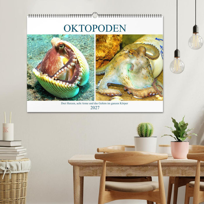 Oktopoden. Drei Herzen, acht Arme und das Gehirn im ganzen Körper (CALVENDO Wandkalender 2027)