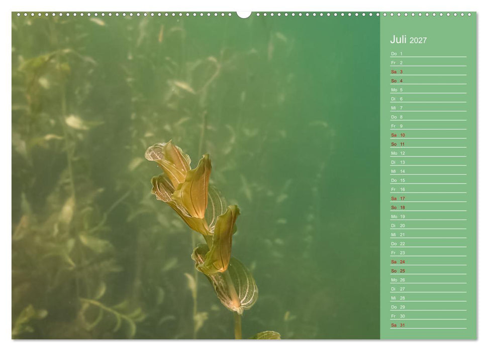 Baggersee - die grüne Welt (CALVENDO Premium Wandkalender 2027)