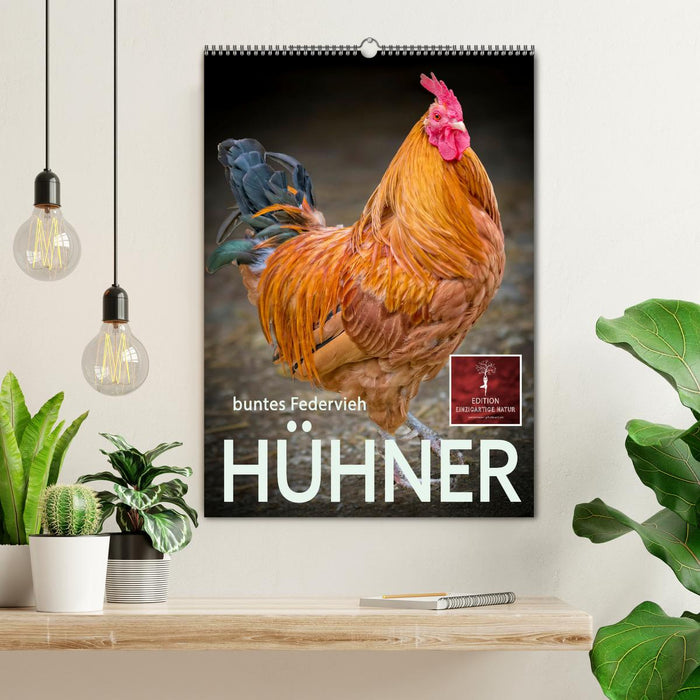 Hühner - buntes Federvieh (CALVENDO Wandkalender 2027)