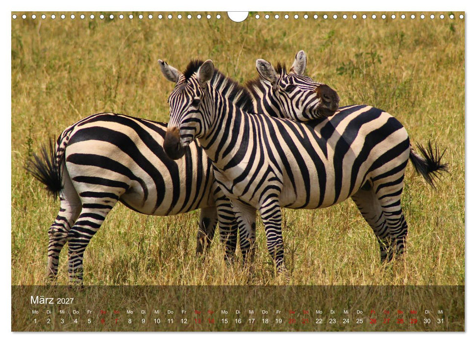Ostafrika - Tansania und Kenia hautnah (CALVENDO Wandkalender 2027)