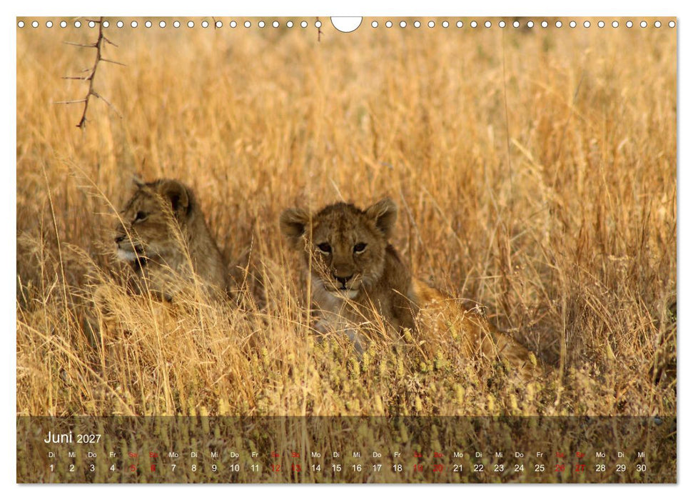 Ostafrika - Tansania und Kenia hautnah (CALVENDO Wandkalender 2027)