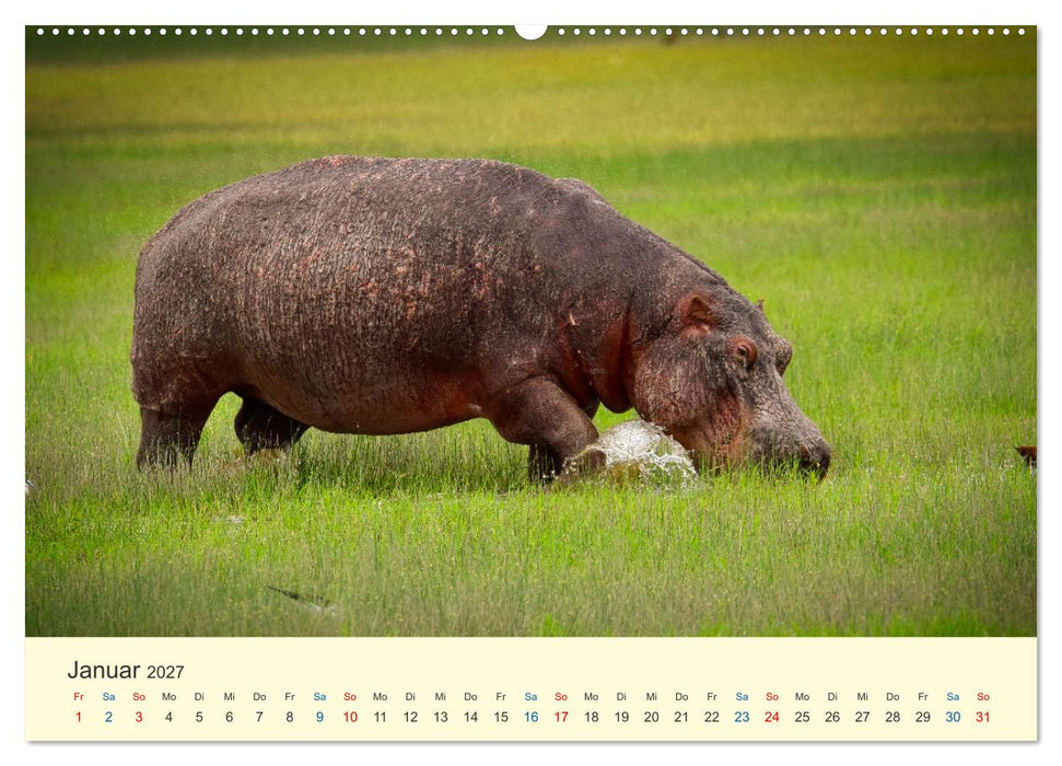 Die Großen und die Kleinen (CALVENDO Premium Wandkalender 2027)