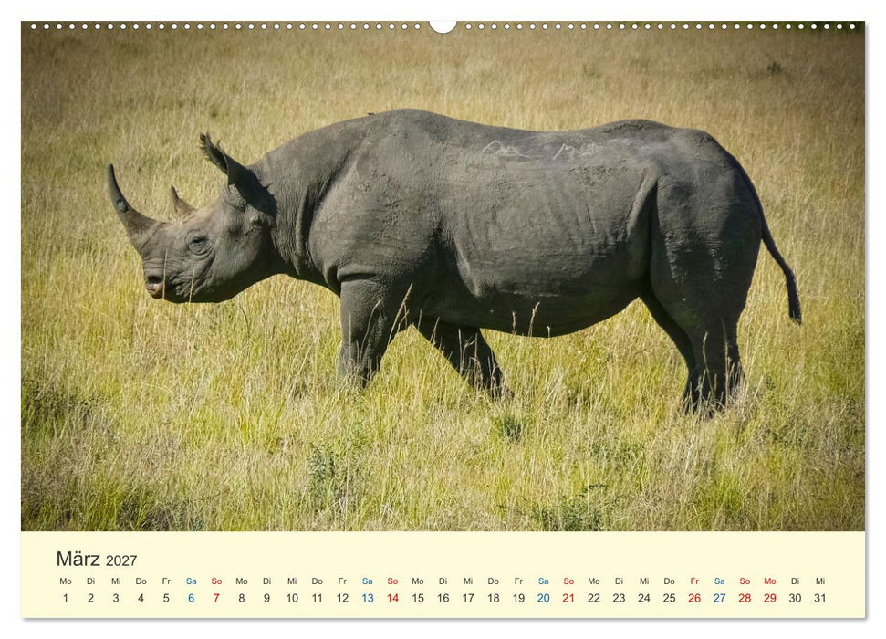 Die Großen und die Kleinen (CALVENDO Premium Wandkalender 2027)