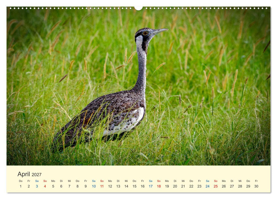Die Großen und die Kleinen (CALVENDO Premium Wandkalender 2027)
