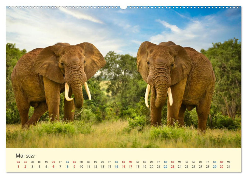 Die Großen und die Kleinen (CALVENDO Premium Wandkalender 2027)