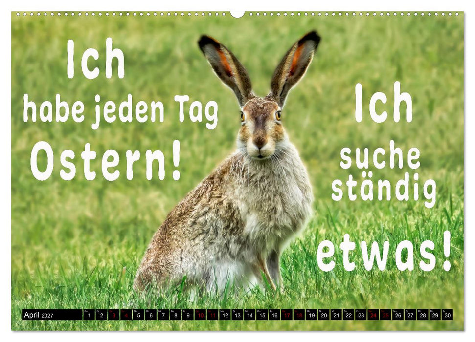 Spruchreif - Gute-Laune-Kalender (CALVENDO Premium Wandkalender 2027)