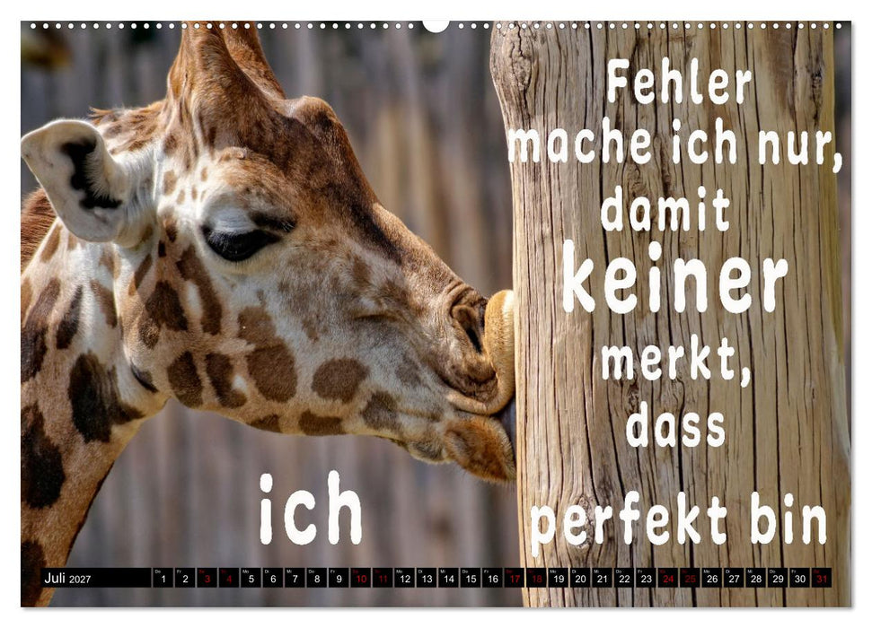 Spruchreif - Gute-Laune-Kalender (CALVENDO Premium Wandkalender 2027)