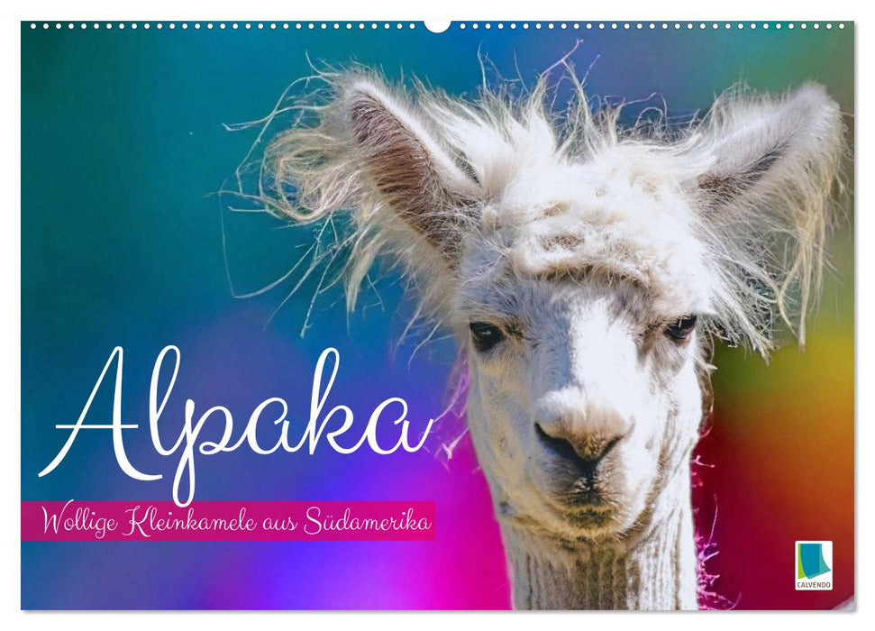 Alpakas: Wollige Kleinkamele aus Südamerika (CALVENDO Wandkalender 2027)