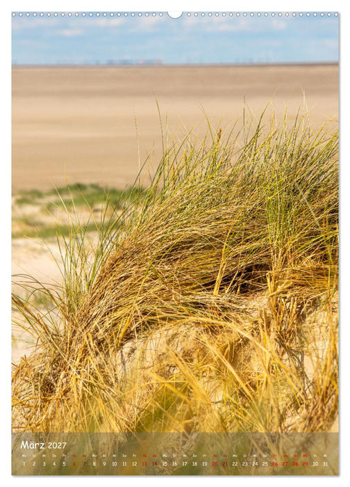 Nordfriesland, Zwischen St. Peter Ording und Sylt (CALVENDO Premium Wandkalender 2027)