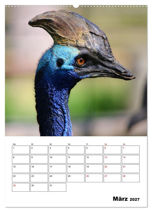 Australiens faszinierende Tierwelt (CALVENDO Wandkalender 2027)