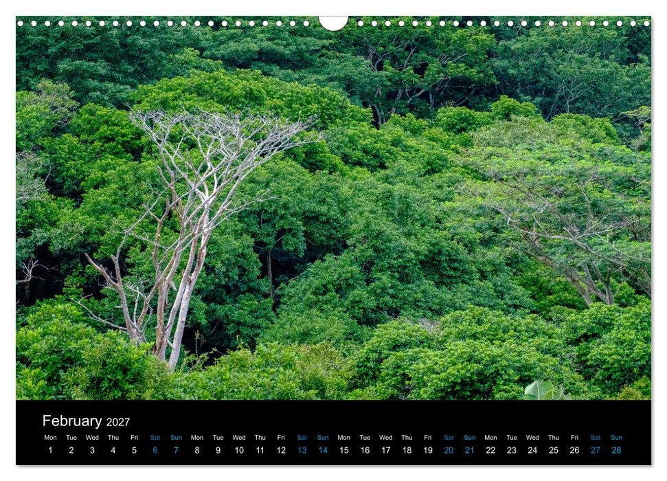 Beautiful Mauritius (CALVENDO Monthly Calendar 2027)