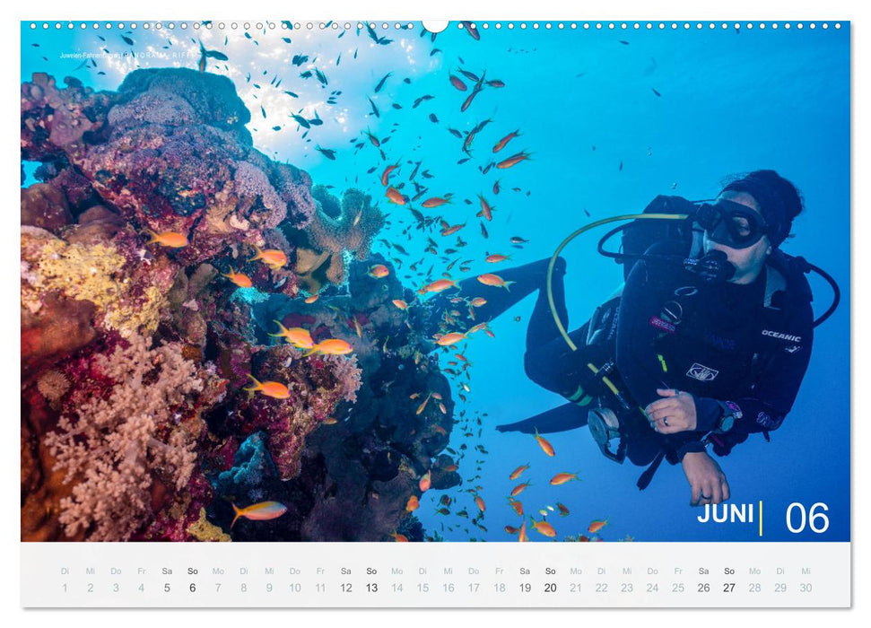 Die schönsten Korallenriffe zum Tauchen in Ägypten (CALVENDO Wandkalender 2027)