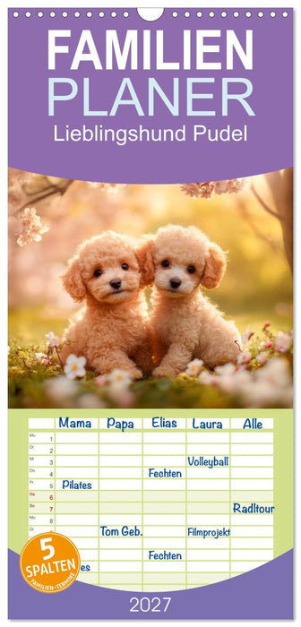 Lieblingshund Pudel (CALVENDO Familienplaner 2027)