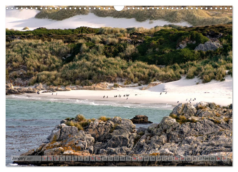 In the Falkland Islands (CALVENDO Monthly Calendar 2027)