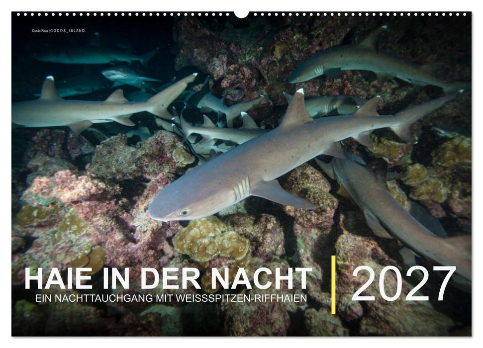 Haie in der Nacht (CALVENDO Wandkalender 2027)