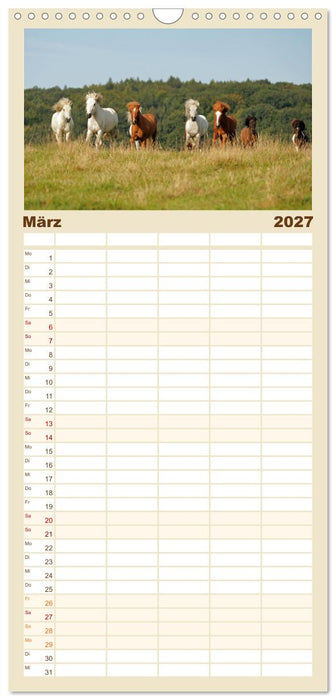 Islandpferde - Hufschlag aus Feuer und Eis (CALVENDO Familienplaner 2027)