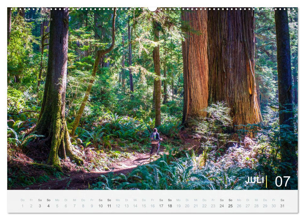 Wunderbare Wanderungen im Südwesten der USA (CALVENDO Premium Wandkalender 2027)