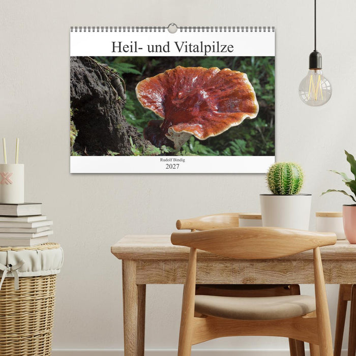 Heil- und Vitalpilze (CALVENDO Wandkalender 2027)