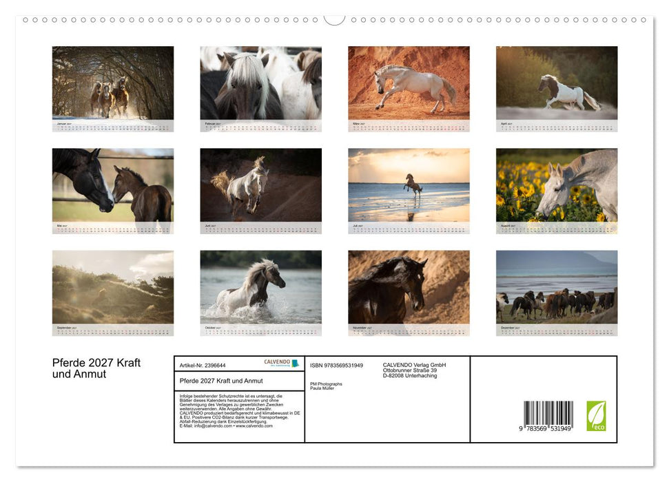 Pferde 2027 Kraft und Anmut (CALVENDO Wandkalender 2027)