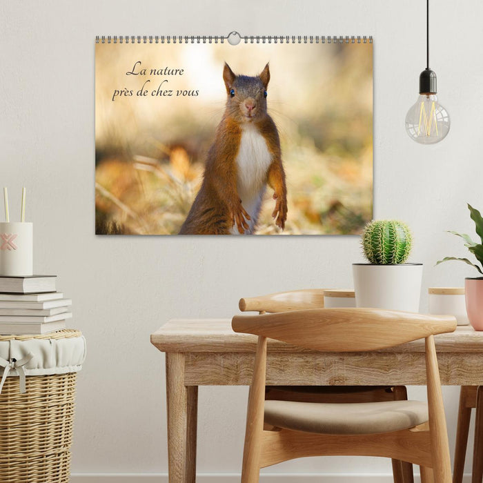 La nature près de chez vous (CALVENDO Calendrier mensuel 2027)