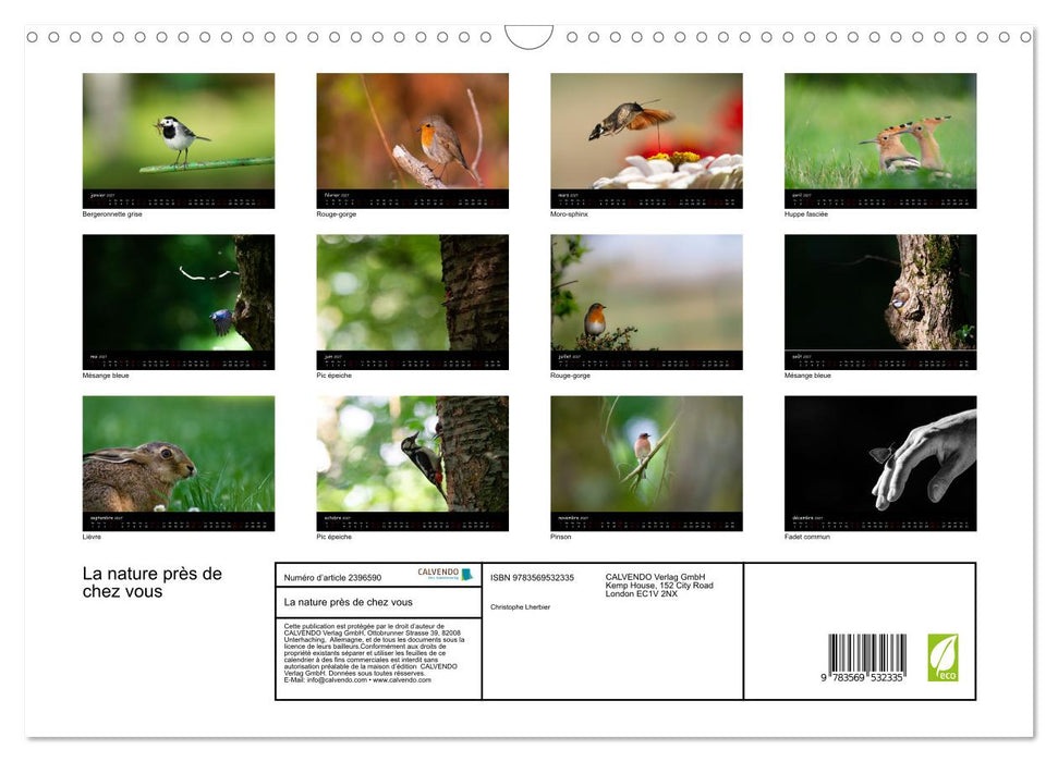 La nature près de chez vous (CALVENDO Calendrier mensuel 2027)