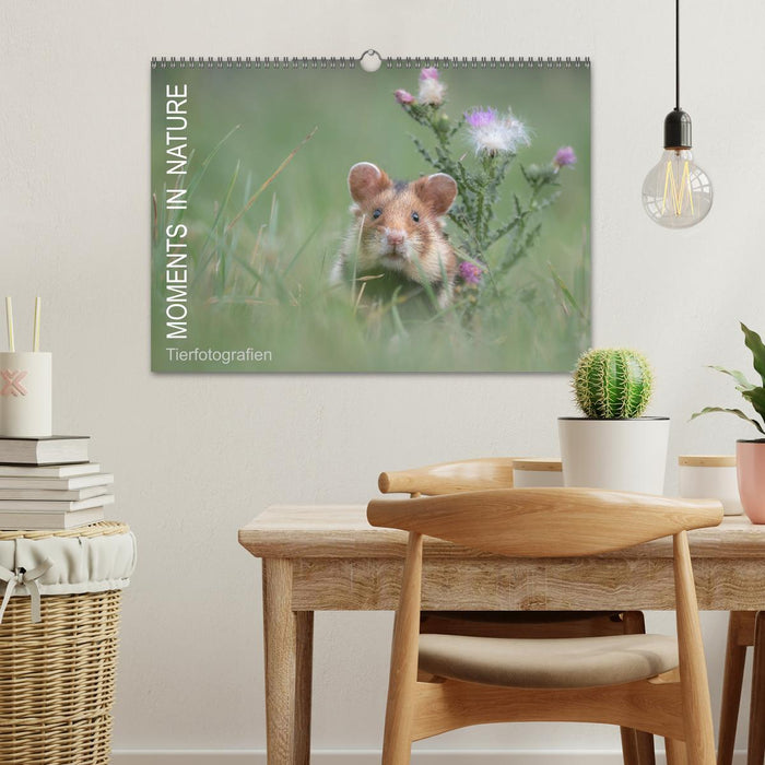 Moments in Nature (CALVENDO Wandkalender 2027)