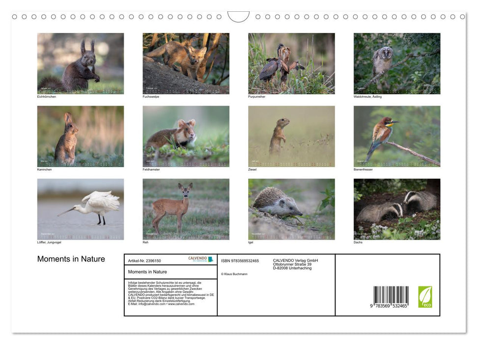 Moments in Nature (CALVENDO Wandkalender 2027)