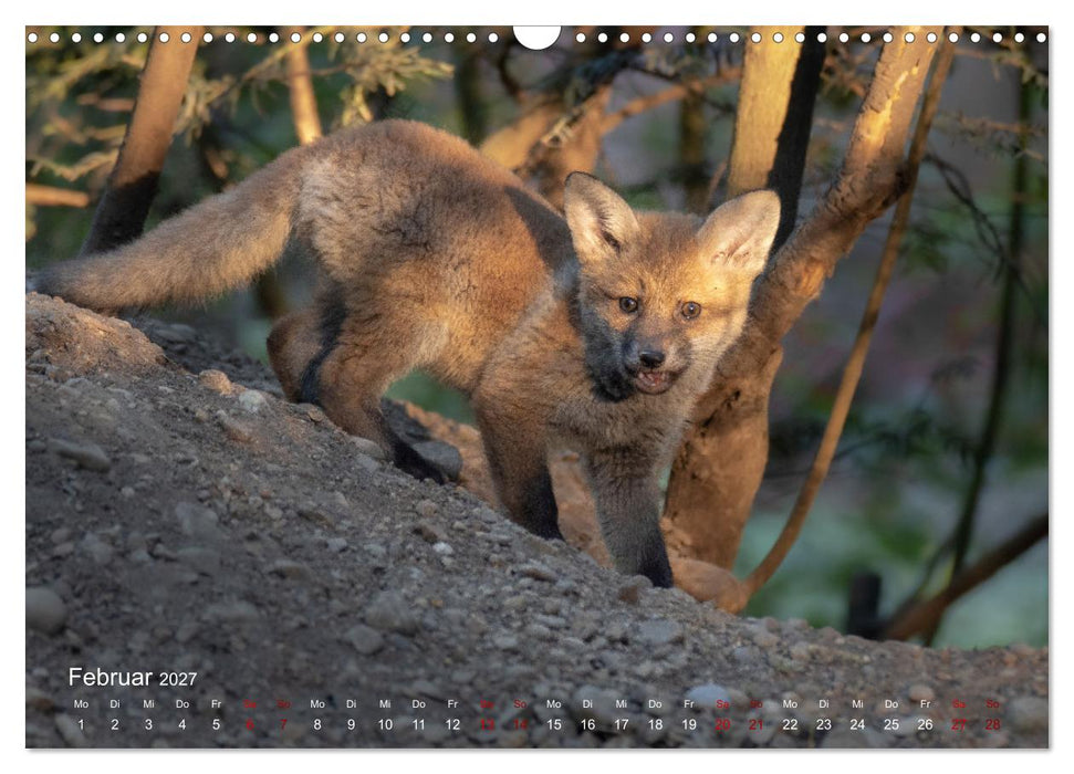 Moments in Nature (CALVENDO Wandkalender 2027)