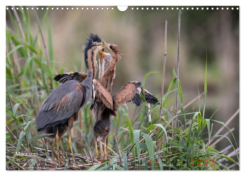 Moments in Nature (CALVENDO Wandkalender 2027)