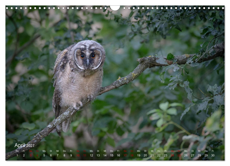 Moments in Nature (CALVENDO Wandkalender 2027)