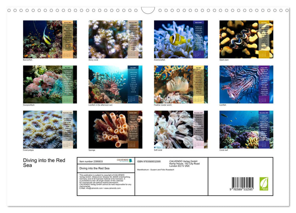 Diving into the Red Sea (CALVENDO Monthly Calendar 2027)
