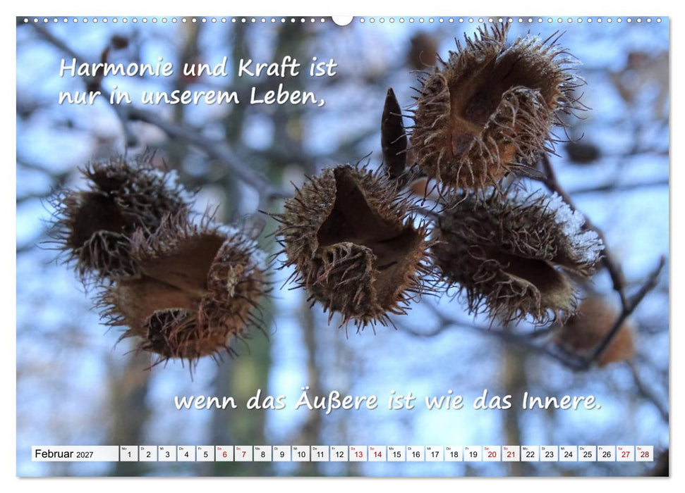 Albert Schweitzer Zitate (CALVENDO Premium Wandkalender 2027)