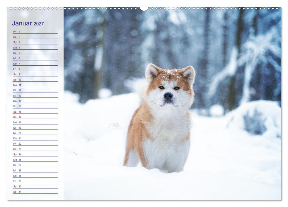 Japans Seelenhunde (CALVENDO Wandkalender 2027)