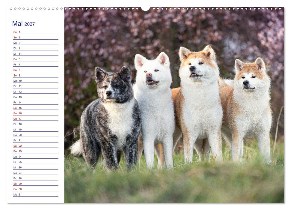 Japans Seelenhunde (CALVENDO Wandkalender 2027)