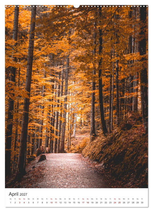Herbstliches Allgäu (CALVENDO Premium Wandkalender 2027)