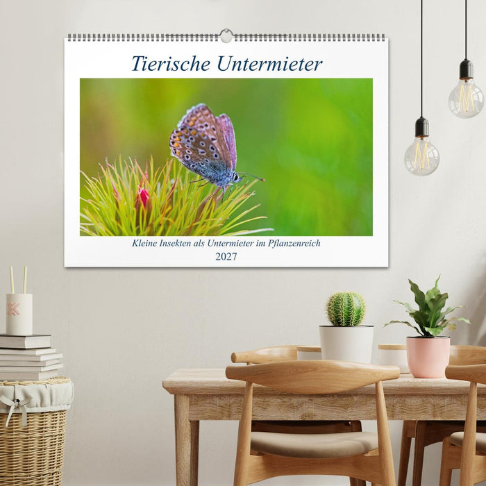Tierische Untermieter (CALVENDO Wandkalender 2027)