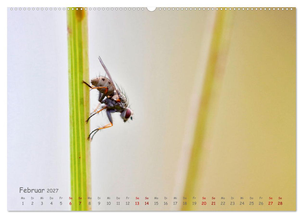 Tierische Untermieter (CALVENDO Wandkalender 2027)
