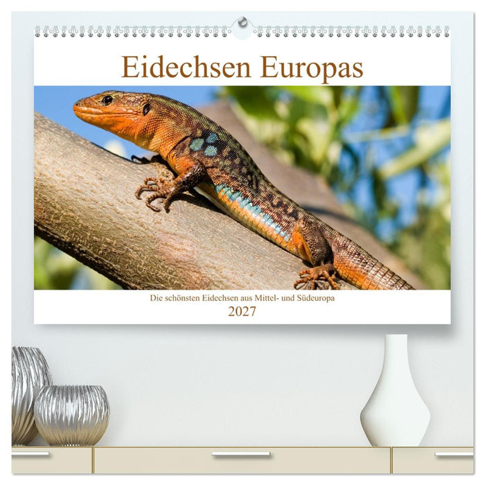 Eidechsen Europas (CALVENDO Premium Wandkalender 2027)