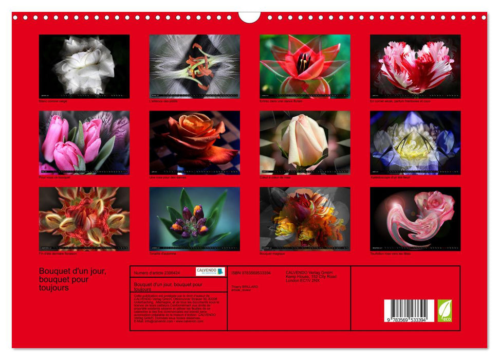 Bouquet d'un jour, bouquet pour toujours (CALVENDO Calendrier mensuel 2027)