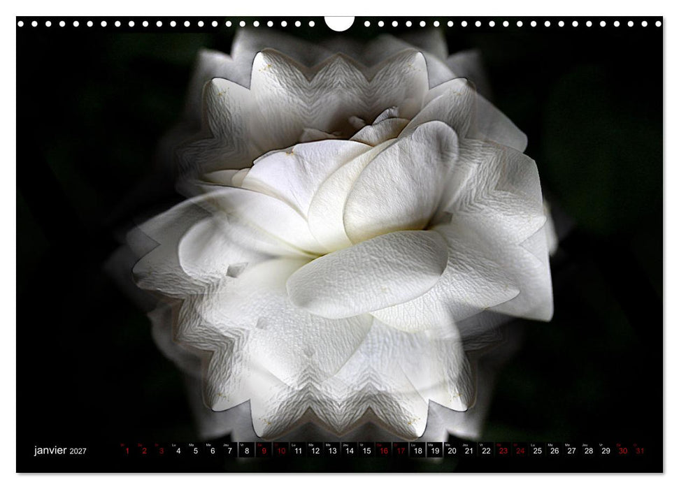 Bouquet d'un jour, bouquet pour toujours (CALVENDO Calendrier mensuel 2027)