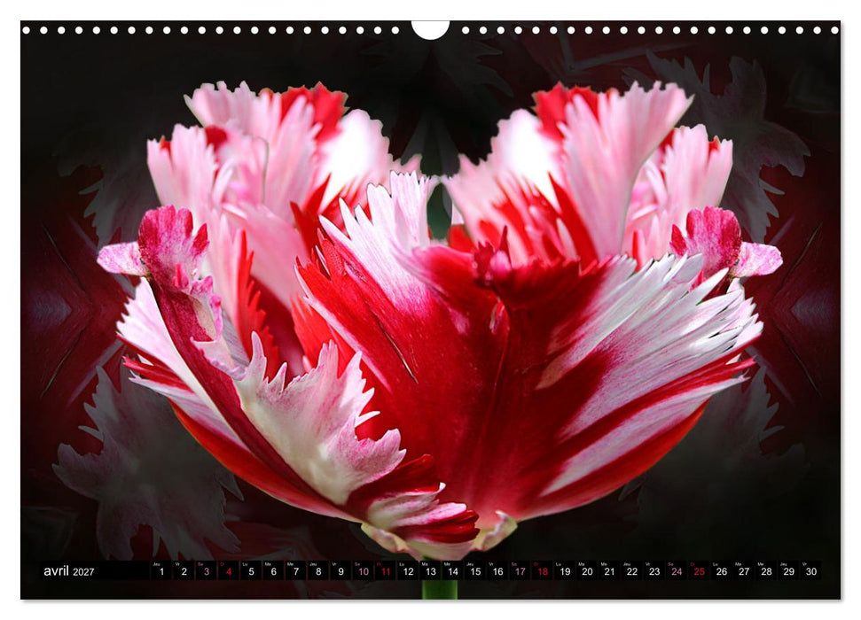 Bouquet d'un jour, bouquet pour toujours (CALVENDO Calendrier mensuel 2027)